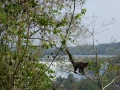 P1040780