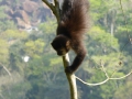 P1040786
