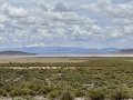 IMG_6176