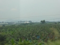 P1010051