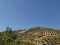 P1270334