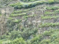 IMG_7065