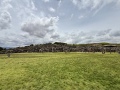 IMG_6972
