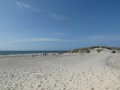 P1300421