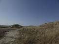 P1150922