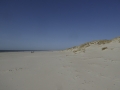 P1150942