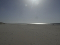 P1150943