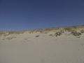 P1150945