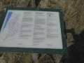 P1150952