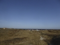 P1150956