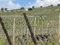 IMG_0229