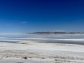 IMG_6262