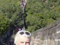 P1030790