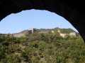 P1030792