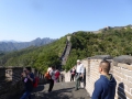 P1030796