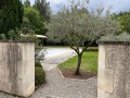 IMG_0339