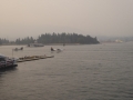 P1150096
