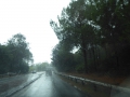 P1020508