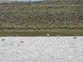 P1360075