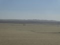 P1050560