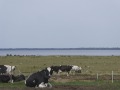 P1240281