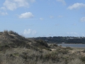 P1180023