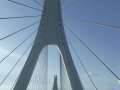 P1180100