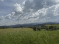 P1170571