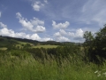 P1170573