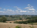 P1002051