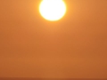 P1050913