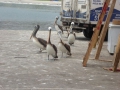 P1270754