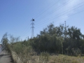 P1110116