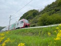 IMG_0178
