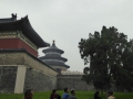 P1030441