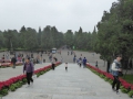 P1030442