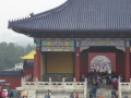 P1030452