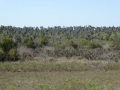 P1040444