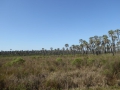 P1170445
