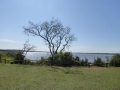 P1170489