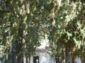 P1170498