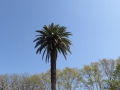 P1170532