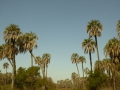 P1170594