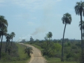 P1170636