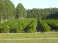 P1170698