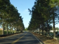 P1170699
