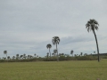 P1170389