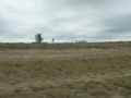 P1170844