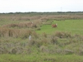 P1170854