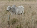 P1170864